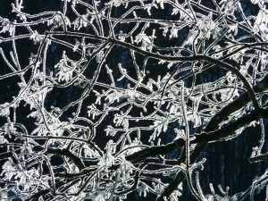 hoarfrost-16507_1280